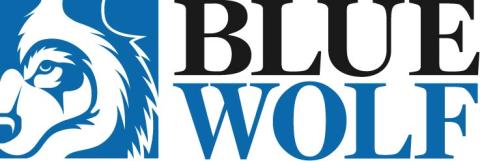 Blue Wolf Capital