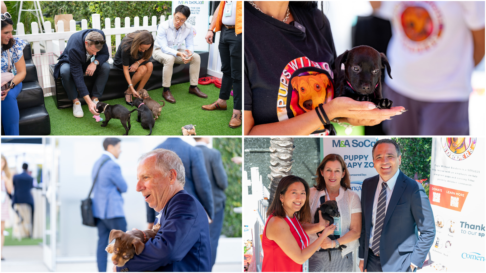 Dogs at M&A SoCal®.png
