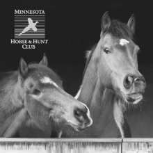 horse with logo - 2022