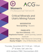 November critical minerals event