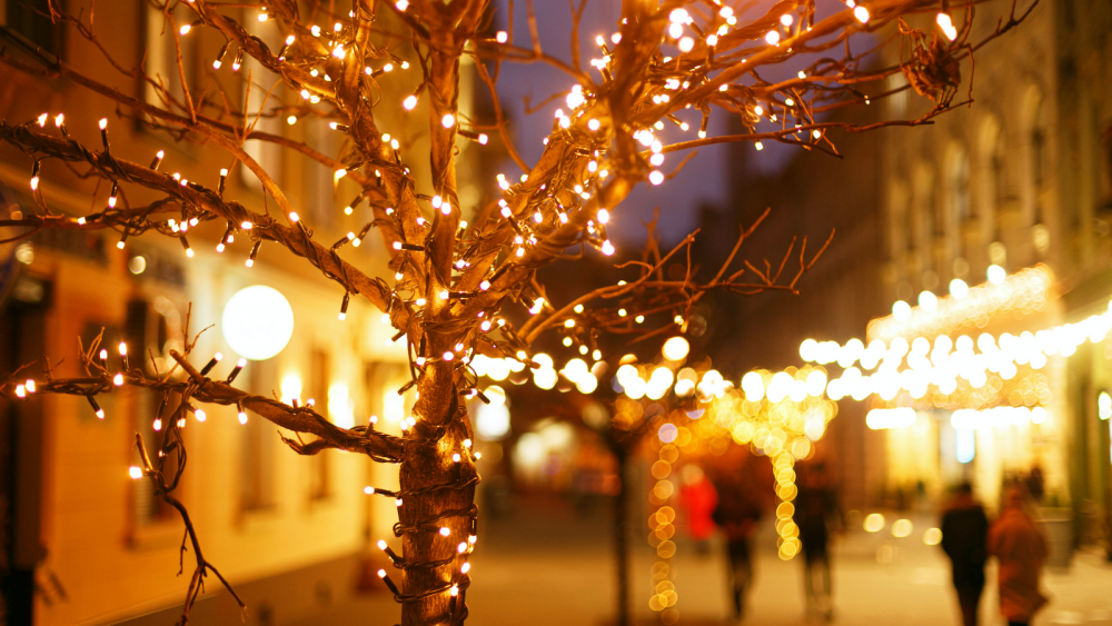 7 Things Successful People Do Over the Festive Season