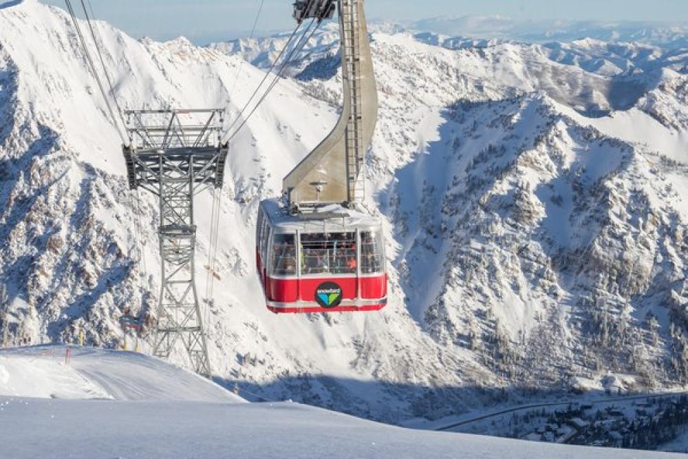 Tram Photo