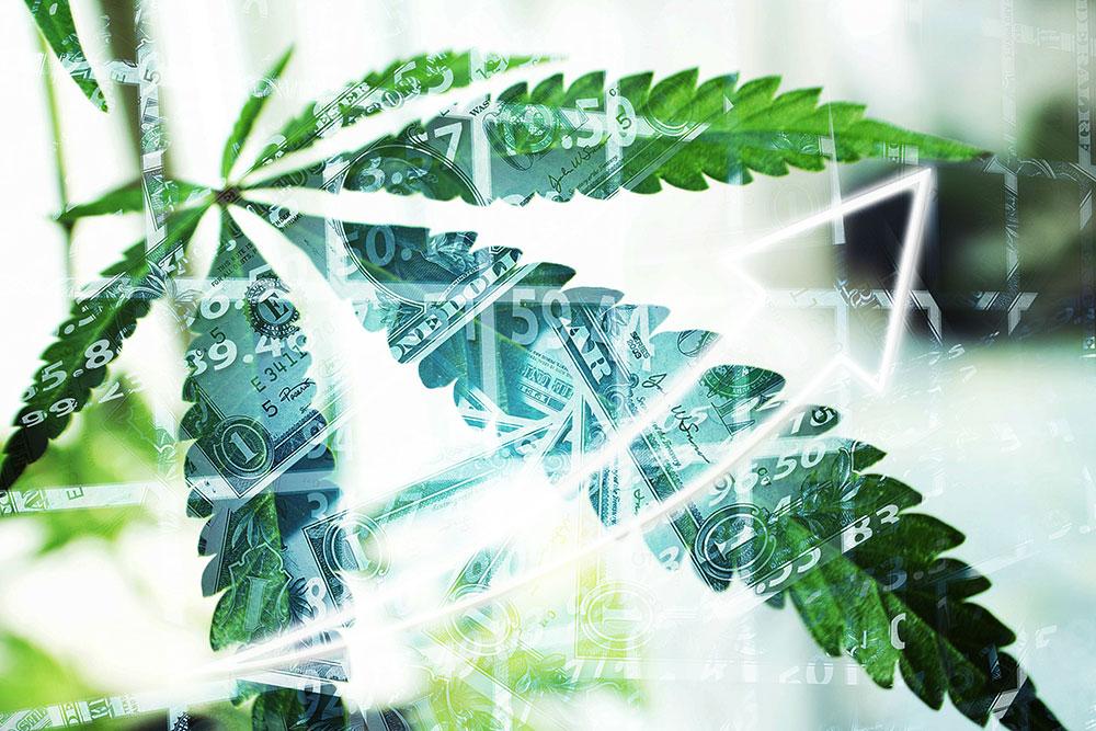 High Times in the Multi-Billion Dollar Cannabis Industry