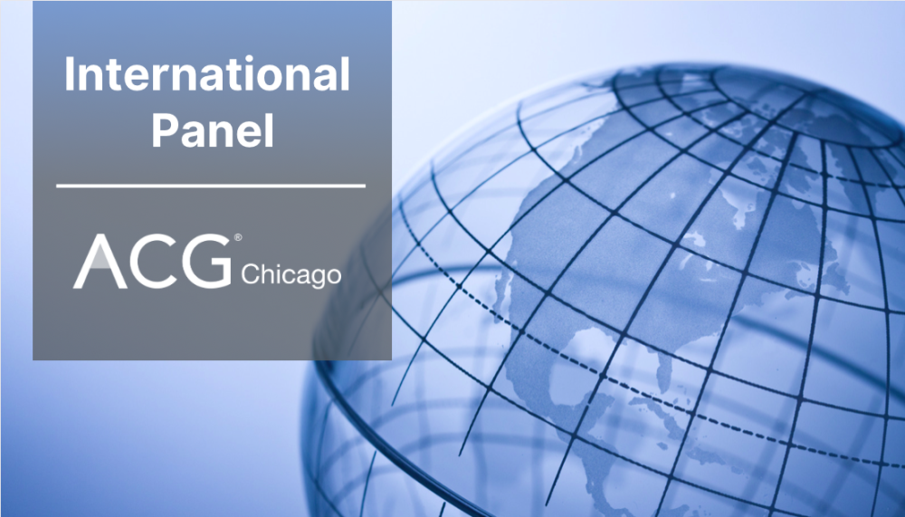international panel