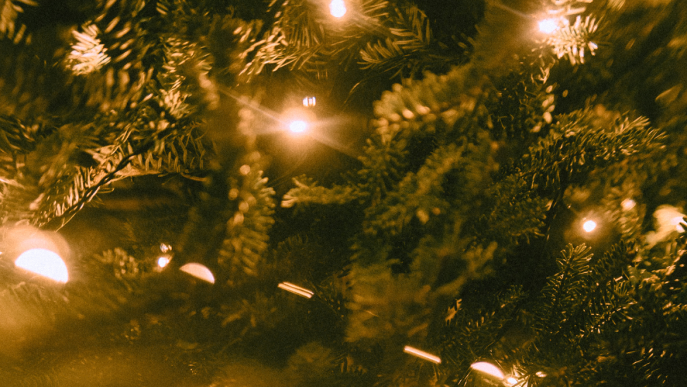 Holiday Gathering