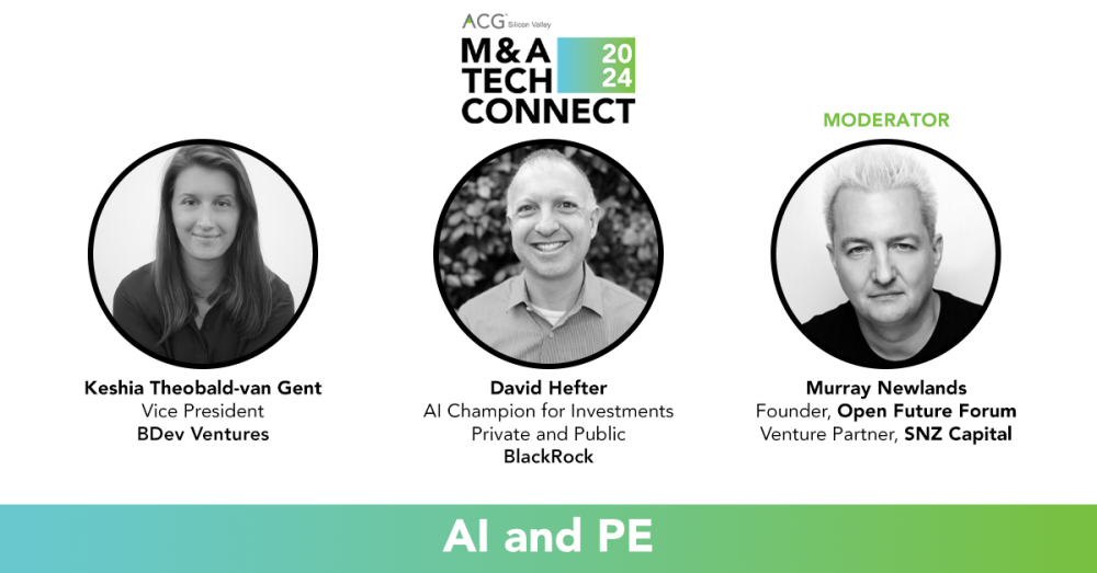 AI and PE panel