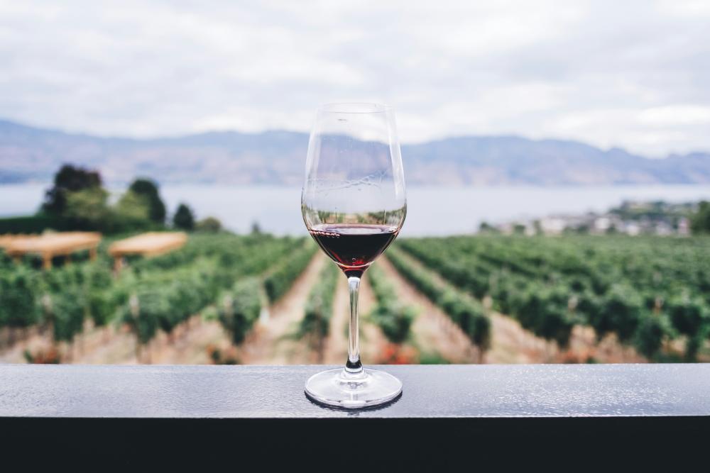 Wine Glass
