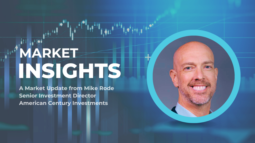 Market Insights