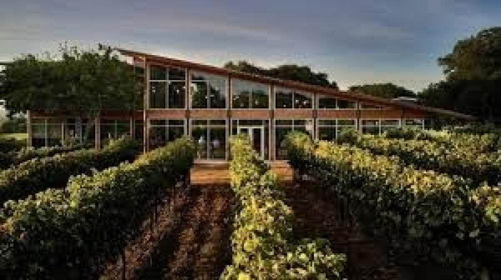 William Chris Winery