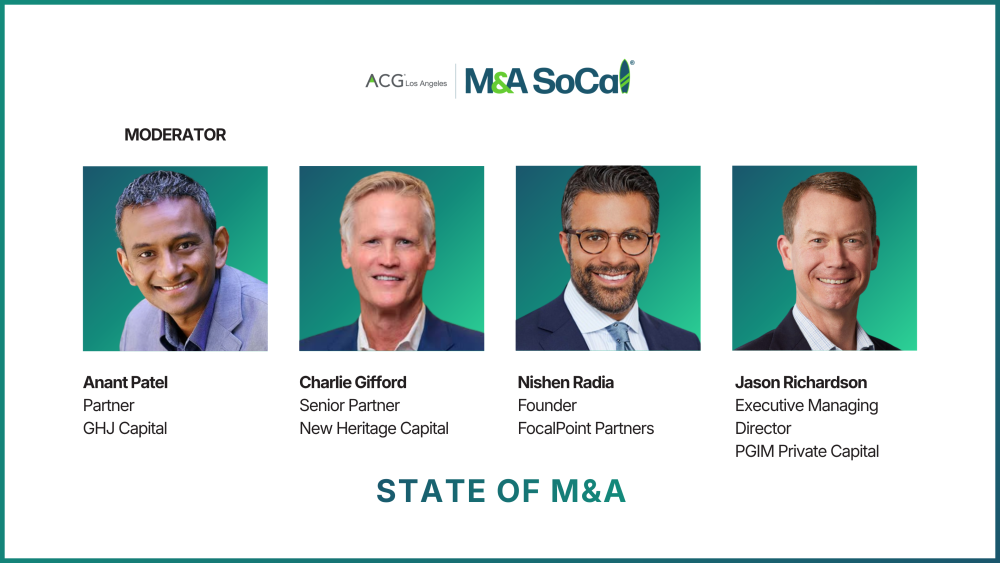 State of M&A Panel.png