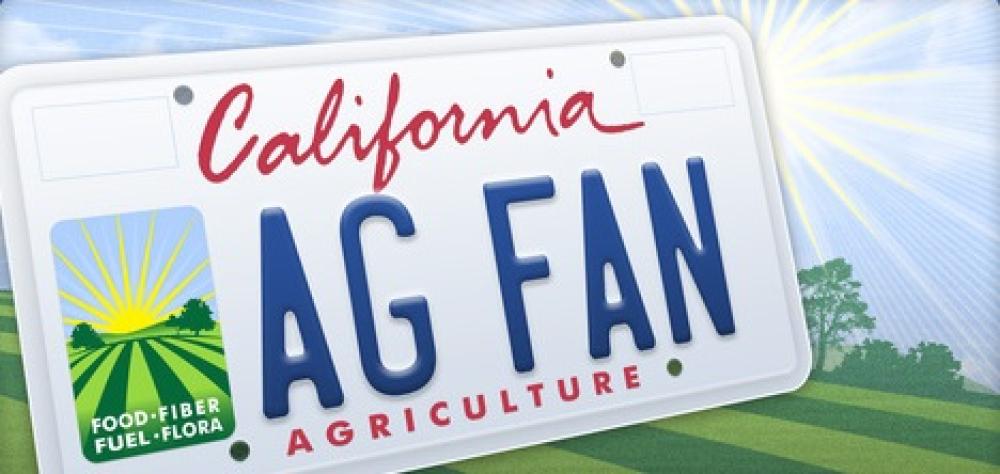 Food and Agriculture