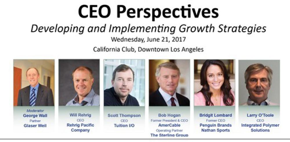 CEO Perspectives Panel June 13th 2017 CEO Perspectives Panel June 13th 2017