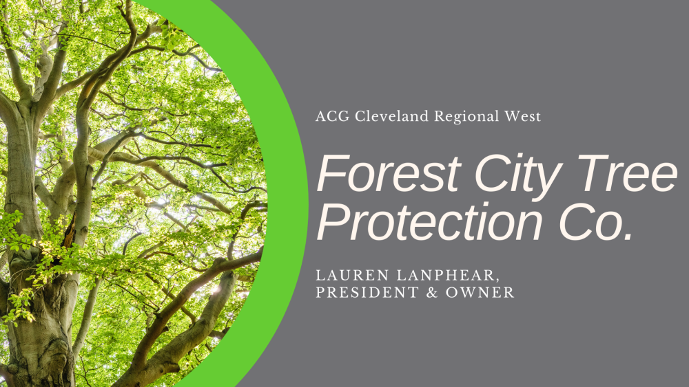 Forest City Banner