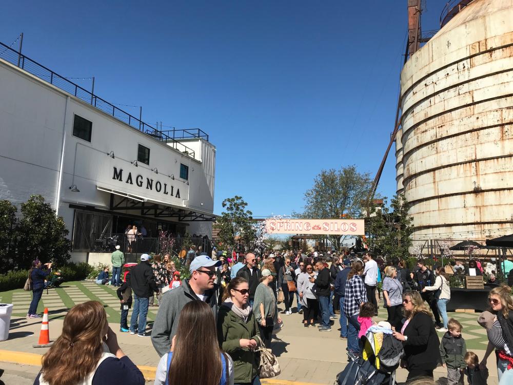 Magnolia in Waco, TX Magnolia in Waco, TX