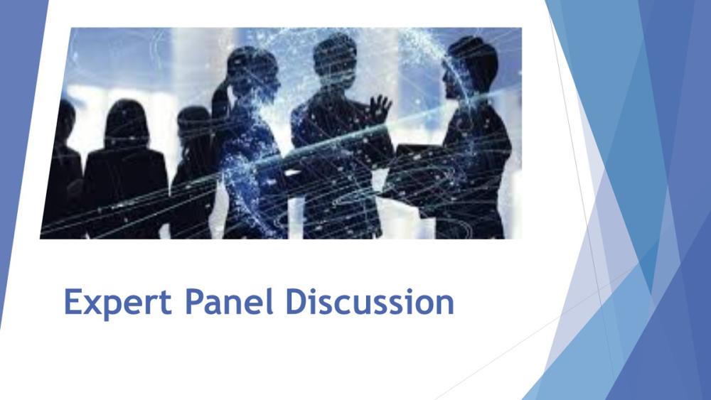 Panel Panel