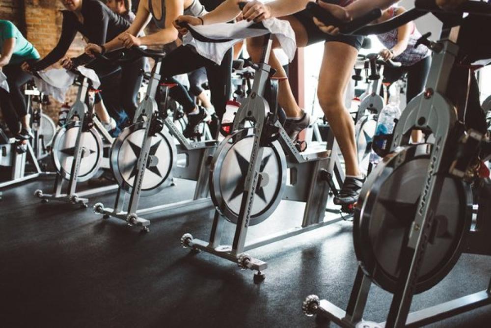 Harness Cycle