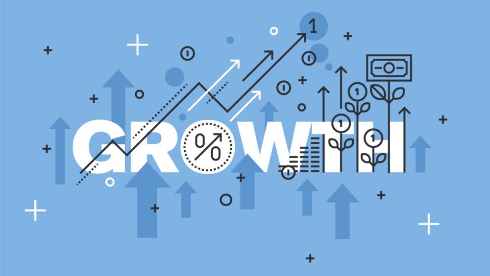 Software growth Software growth