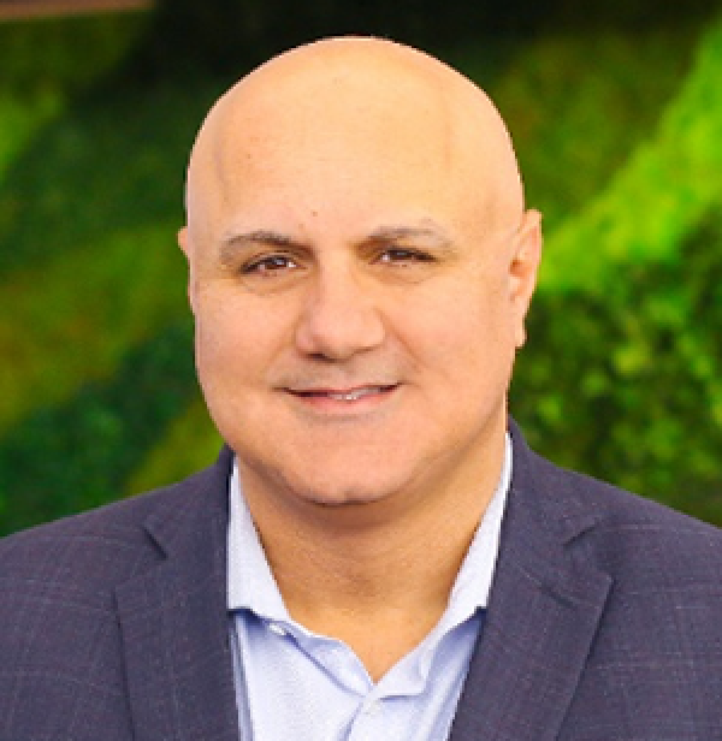 Hani Alexander, Partner – Strategy & Transactions, Supply Chain, EY Parthenon