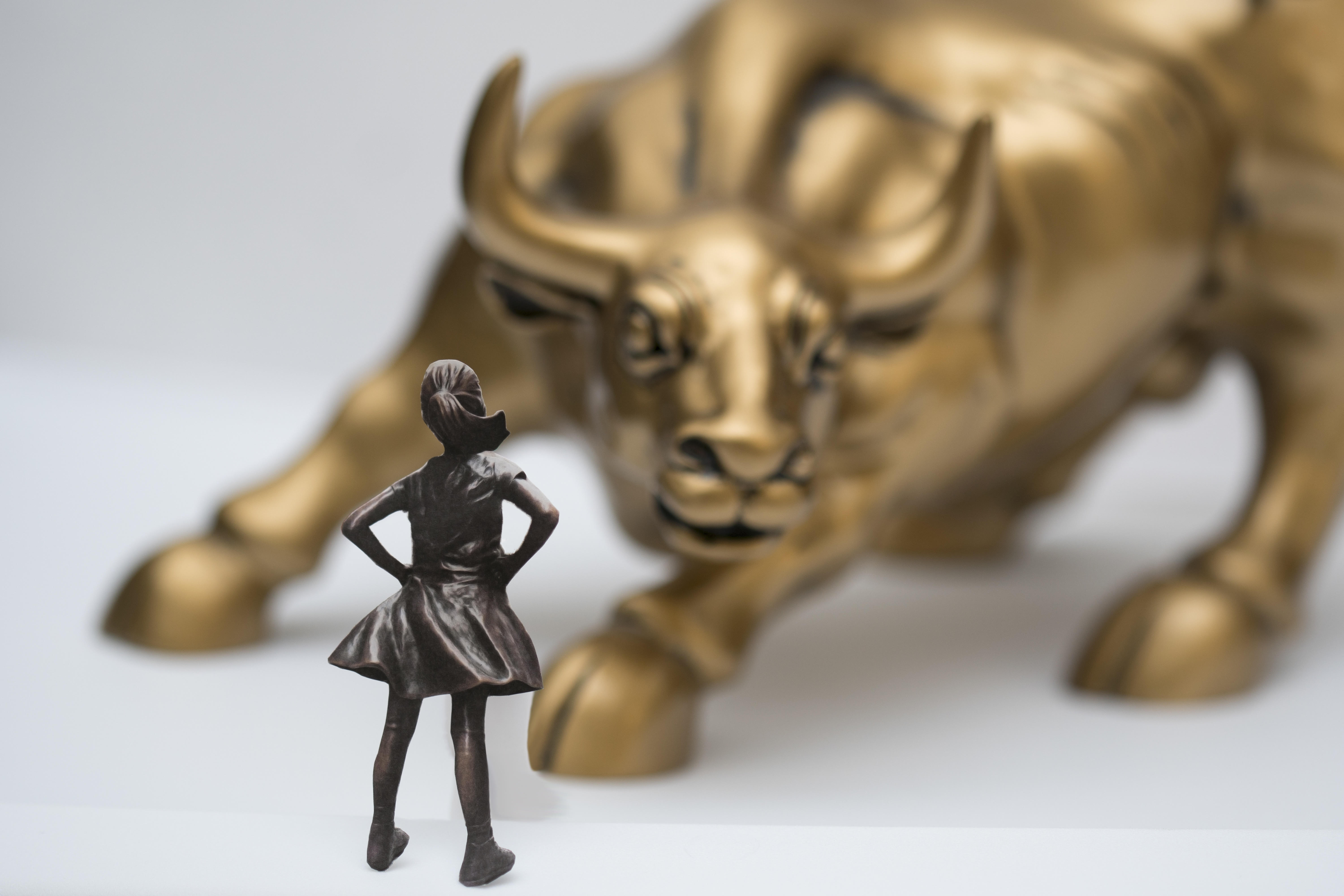 Girl Bull NYC Girl Bull NYC